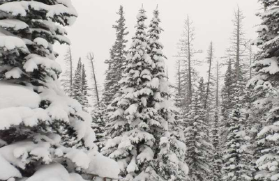 什么是拉尼娜状态？对我国今冬有何影响？