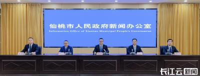 第三届沔商大会暨2026年仙桃市新春消费季启幕