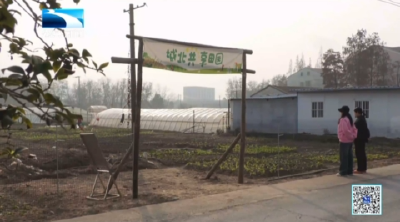 孝感安陆：闲置地变“共享田园” 社区邀居民当“城市农夫”