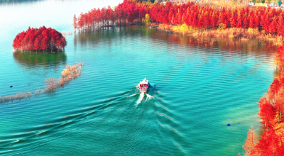 孩子红杉林走散急哭家长！荆门小伙的双向守护太圈粉