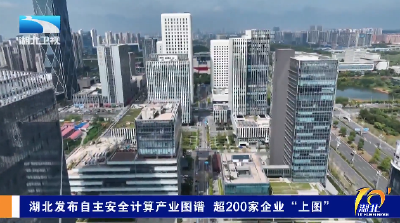 湖北发布自主安全计算产业图谱 超200家企业“上图”