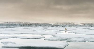 北极气温再创新高 为1900年以来最高值