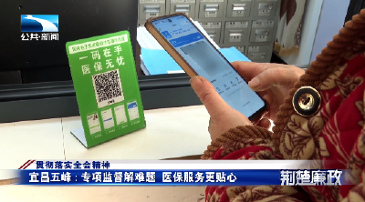 贯彻落实全会精神丨宜昌五峰：专项监督解难题  医保服务更贴心