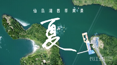 仙岛湖四季美景——夏