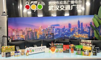 十四五收官谱新篇 云端援藏点燃雪域新引擎