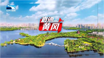 直通黄冈 | 以国债撬动工业技改 打造营商环境“浠”引力