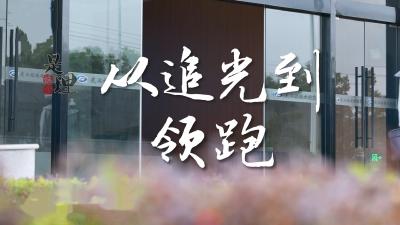 《是这个理》：从追光到领跑