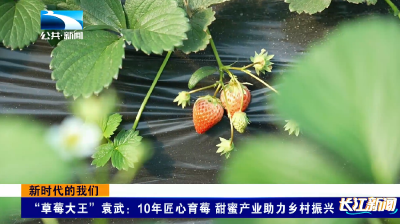 2025年12月17日长江新闻