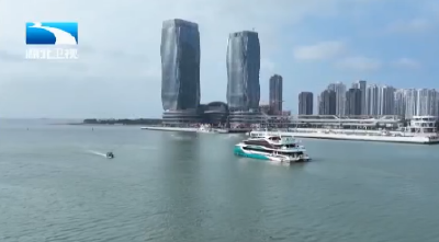 湖北抢抓海南封关机遇加速产业出海