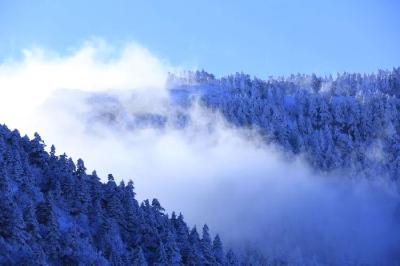 企鹅伴滑，驯鹿同行，17来湖北玩雪！