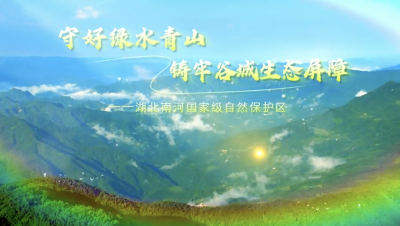 湖北南河国家级自然保护区