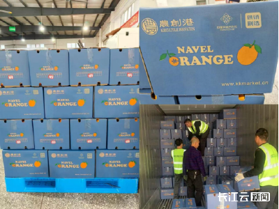 秭归脐橙首航中东！湖北供销迪拜展销中心签下15万美元订单