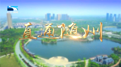 直通随州 | 创新驱动 随州专汽出口突破20亿