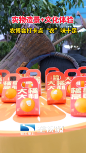 实物造景+文化体验  农博会打卡点“农”味十足
