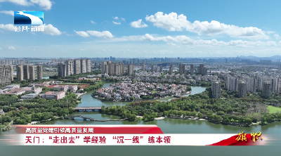 高质量党建引领高质量发展 | 天门：“走出去”学经验 “沉一线”练本领