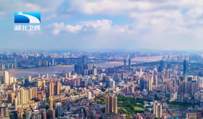 扩内需 强支点丨支点观察：“投资于人”就是投资未来