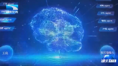 新质生产力在湖北丨探访荆州“未来工厂”：车间里的“机器人员工”