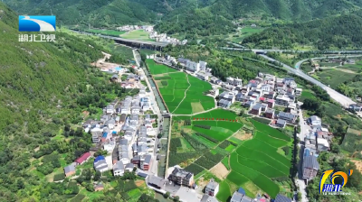 2025年12月6日湖北十分