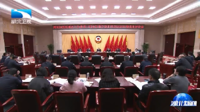 尔肯江·吐拉洪强调 以高质量党建引领高质量履职