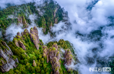 神农架52亩林地经营权“贷”动420万发展资金