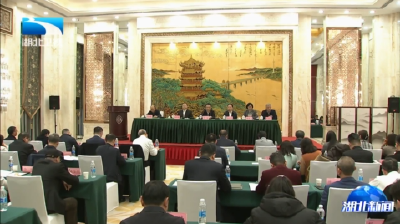 湖北中国和平统一促进会召开一届二次理事会会议