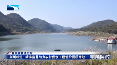 基层监督进行时∣荆州松滋：精准监督助力农村供水工程管护提质增效