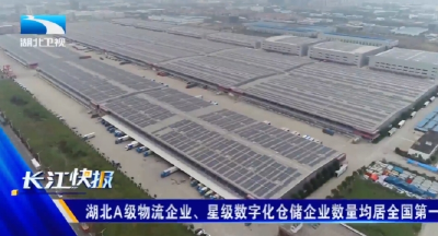 湖北A级物流企业、星级数字化仓储企业数量均居全国第一