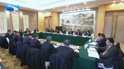 诸葛宇杰参加省委经济工作会议分组讨论