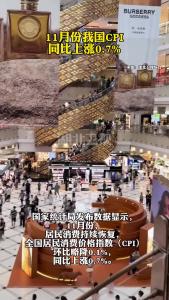 11月份我国CPI同比上涨0.7%