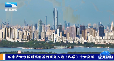 华中农大水稻耐高温基因研究入选《科学》十大突破