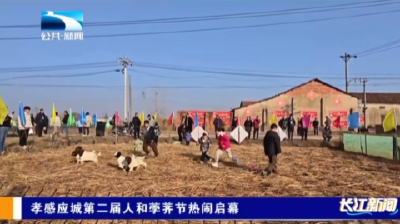 湖北应城：“荸荠有味 陈河相会” 应城第二届人和荸荠节热闹启幕