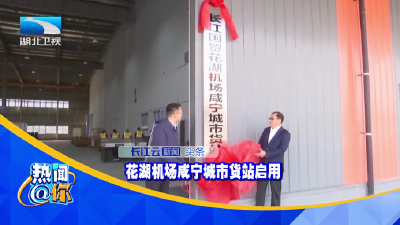 花湖机场咸宁城市货站启用