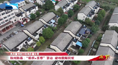 高质量党建引领高质量发展 | 随州：“组织+巡察”联动  破难题解民忧