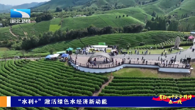 贯彻四中全会精神在一线丨“水利+”激活绿色水经济新动能