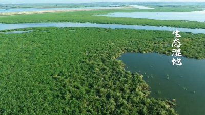 龙感湖国家级自然保护区
