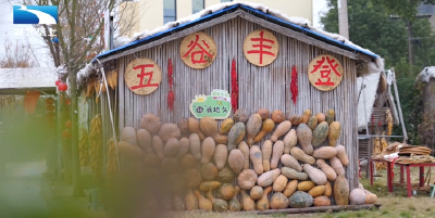 长江畔的亿元村：三产聚力 振兴紫荆