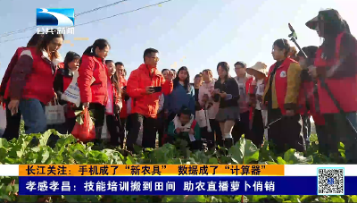 长江关注：手机成了“新农具” 数据成了“计算器”