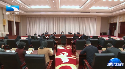 孙伟听取省政协办公厅述职报告并评议讲话