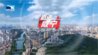 直通咸宁 | 履职这一年