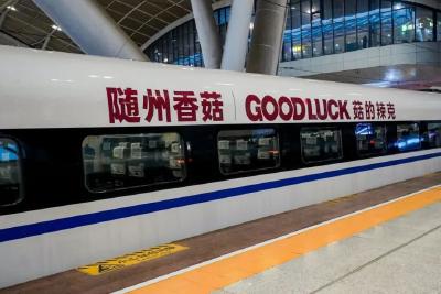 “荆”彩一度电｜滋养 “中国香菇之乡” 的鲜香