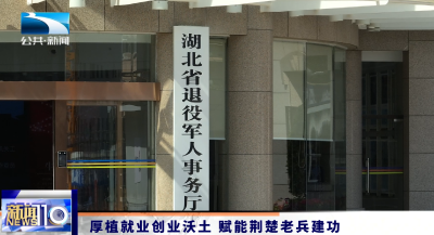 厚植就业创业沃土 赋能荆楚老兵建功