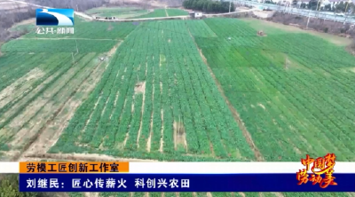 劳模工匠创新工作室 | 刘继民：匠心传薪火 科创兴农田