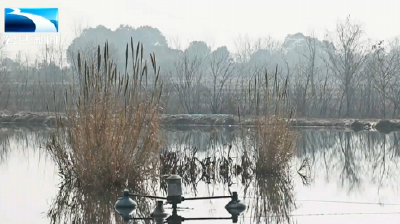 2026年1月10日长江新闻