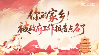 @湖北人，“马”上转发！你的家乡被政府工作报告点名了