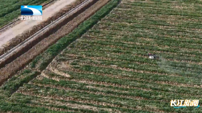 2026年1月19日长江新闻