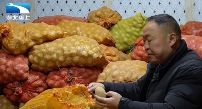 恩施鹤峰：能人返乡创业 把“丑疙瘩”变“金豆豆”