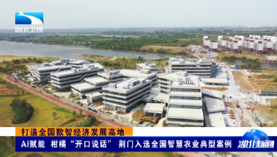打造全国数智经济发展高地 | AI赋能 柑橘“开口说话” 荆门入选全国智慧农业典型案例