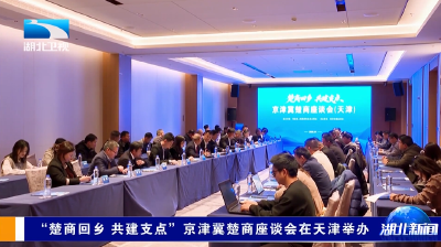“楚商回乡 共建支点”京津冀楚商座谈会在天津举办