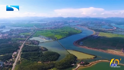 2026年1月31日湖北十分