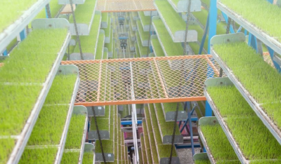 向新向智！2025年我国农业现代化水平持续提升